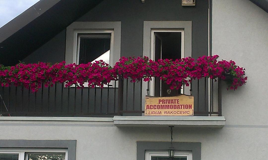 Photo of Others in Kolasin