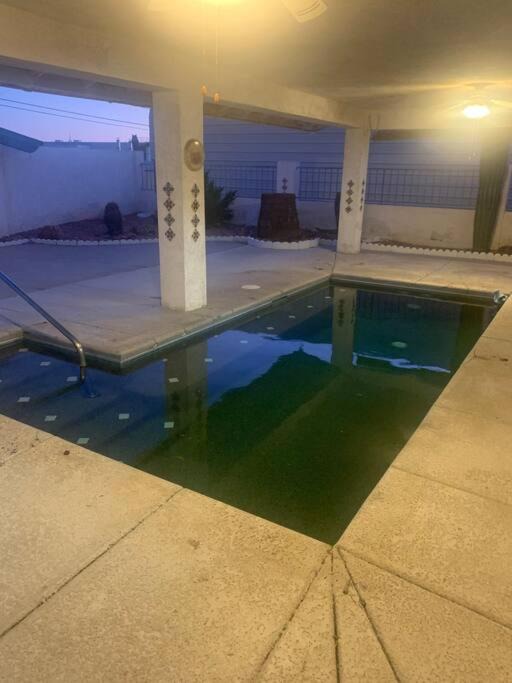 Photo of Others in Lake Havasu City