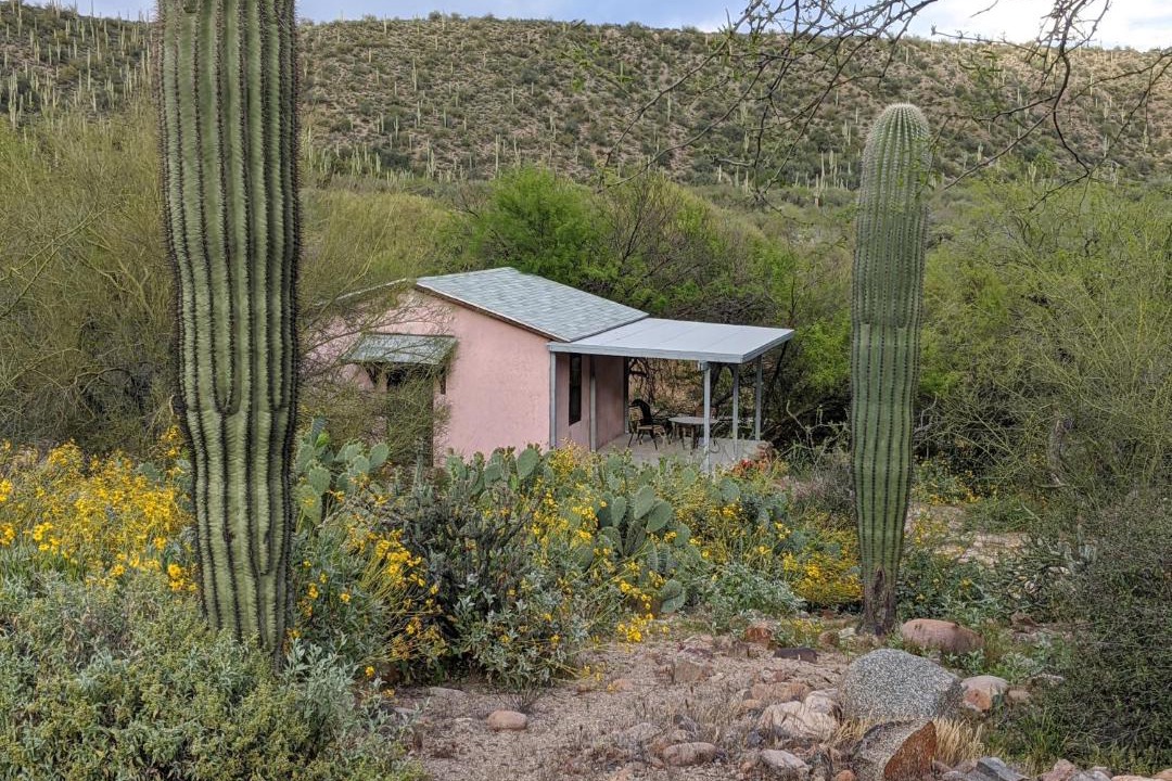 Photo of Others in Mesa
