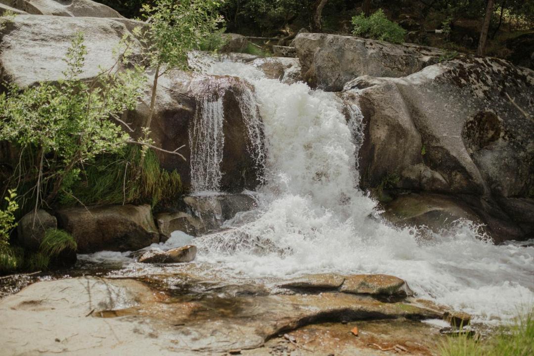 Photo of Others in Yosemite Forks