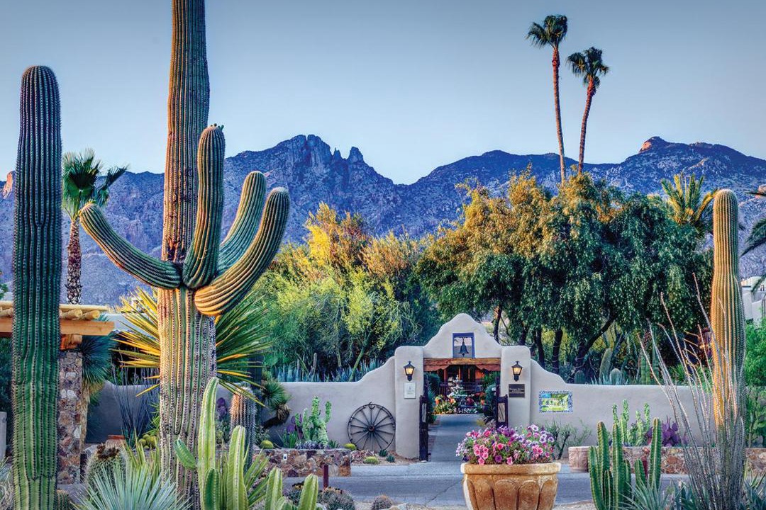 Photo of Others in Tucson