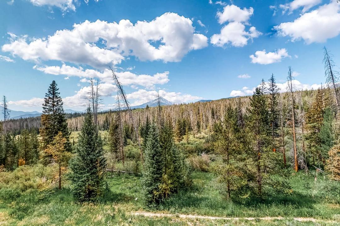 Photo of Others in Wildernest