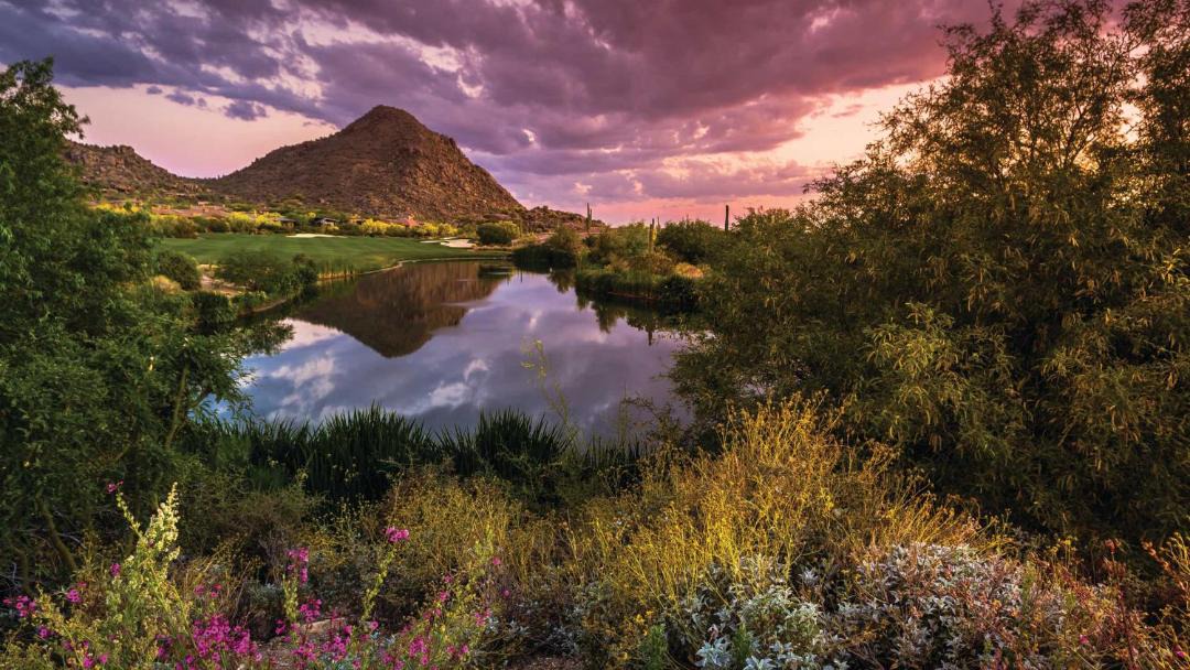 Photo of Others in North Scottsdale