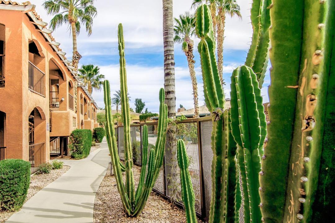 Photo of Others in North Scottsdale