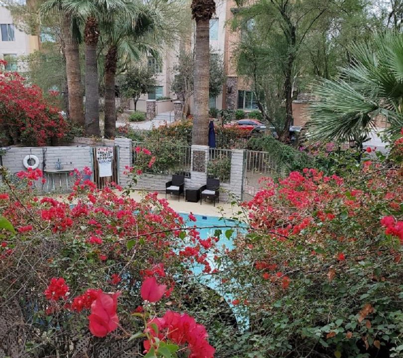 Photo of Others in South Scottsdale