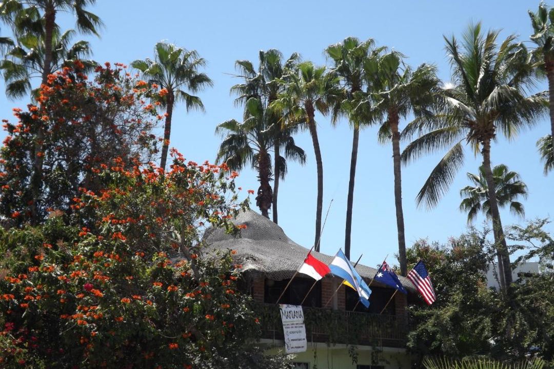 Photo of Others in Downtown San Jose del Cabo