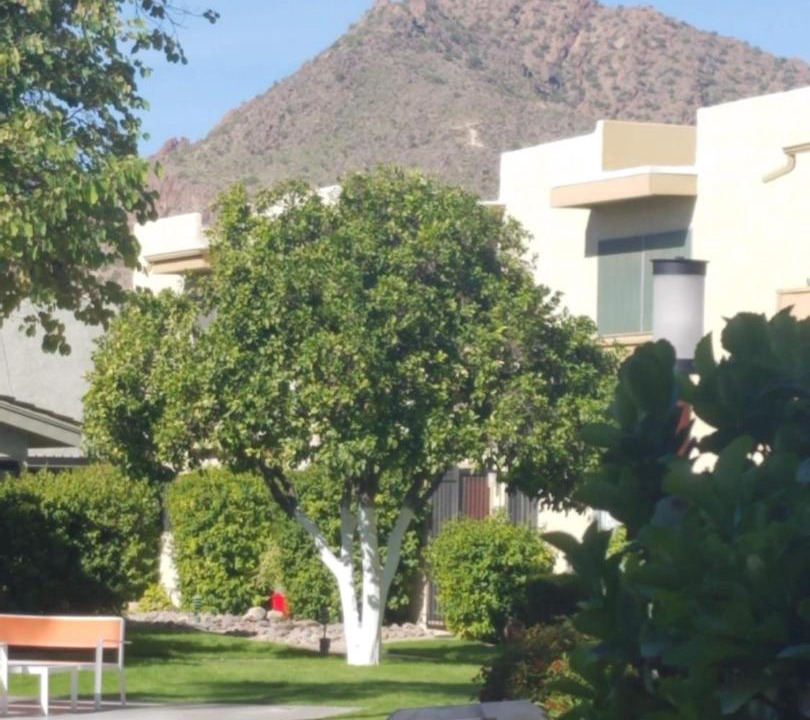 Photo of Others in South Scottsdale