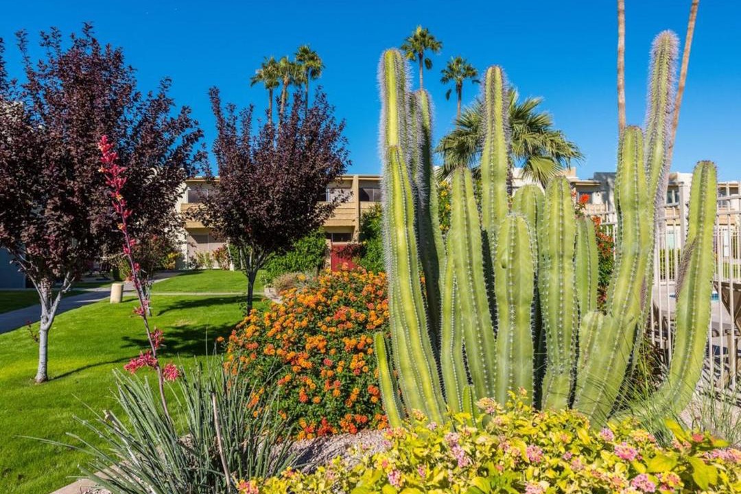 Photo of Others in South Scottsdale
