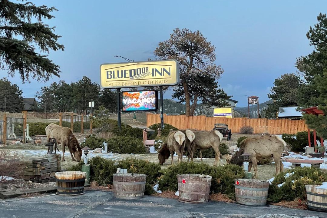 Photo of Others in Estes Park
