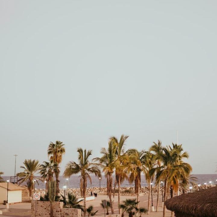 Photo of Others in San Jose del Cabo