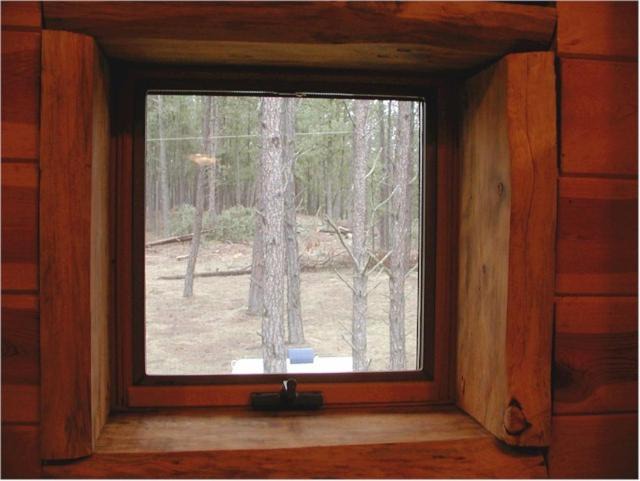 Photo of Others in Custer