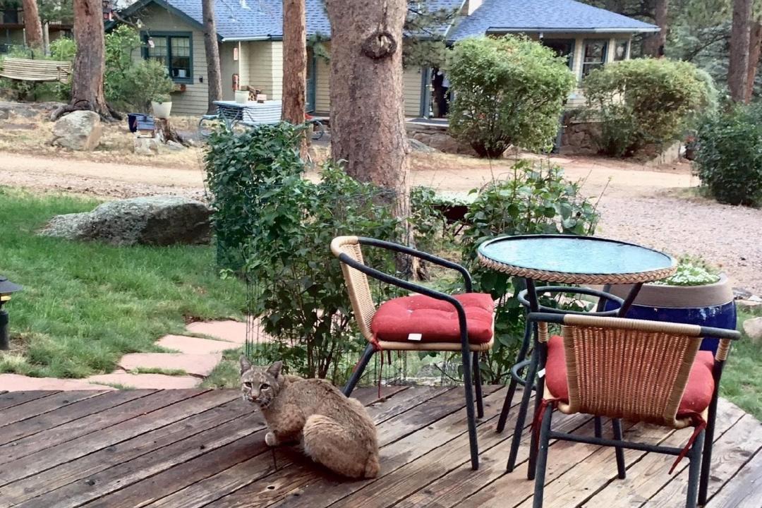 Photo of Others in Estes Park