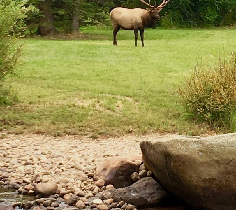 Photo of Others in Estes Park