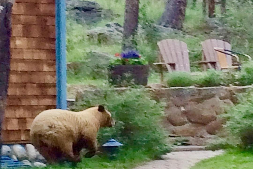Photo of Others in Estes Park