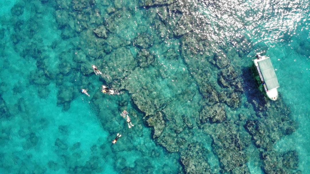 Photo of Others in Cabo Pulmo