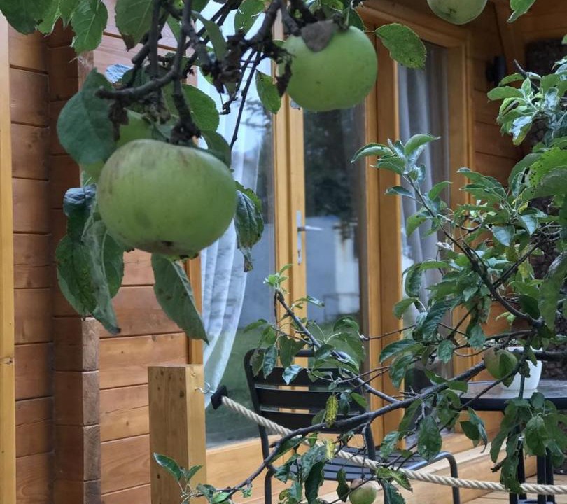 Photo of Patio Balcony in Donje Polje