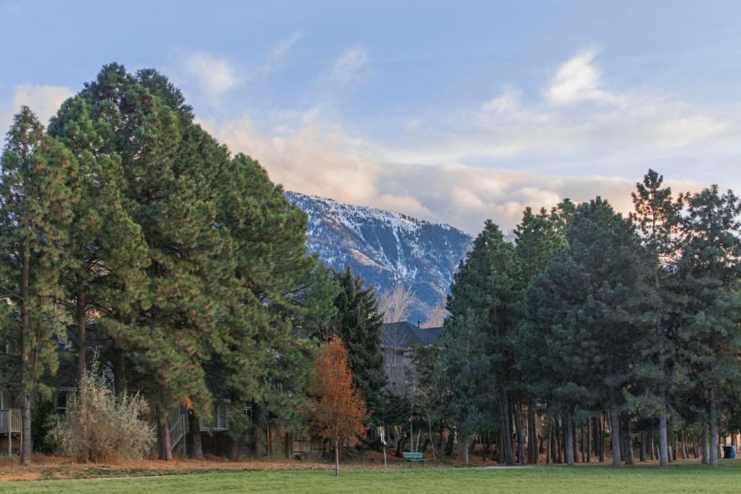 Photo of Outdoor in Cottonwood Heights