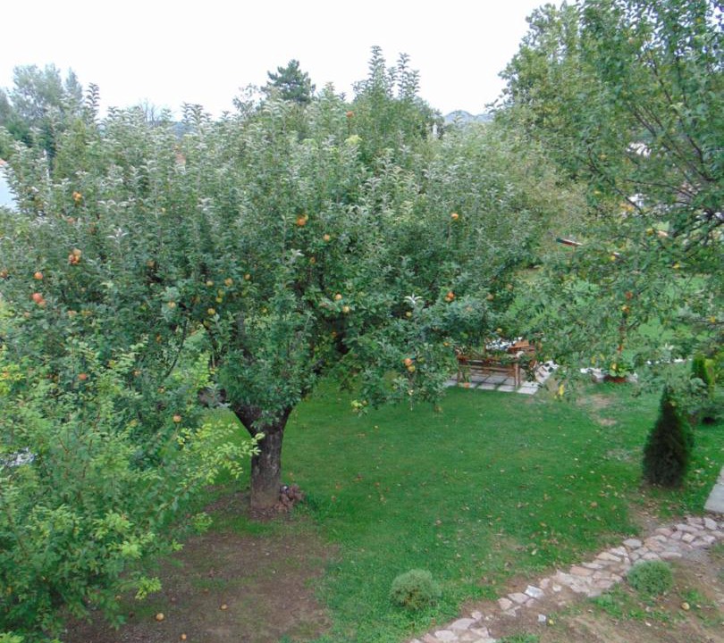 Photo of Others in Donje Polje