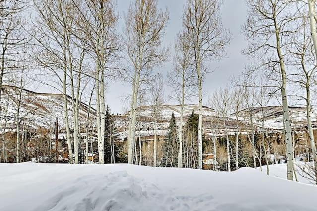Photo of Buildings in Matterhorn Village