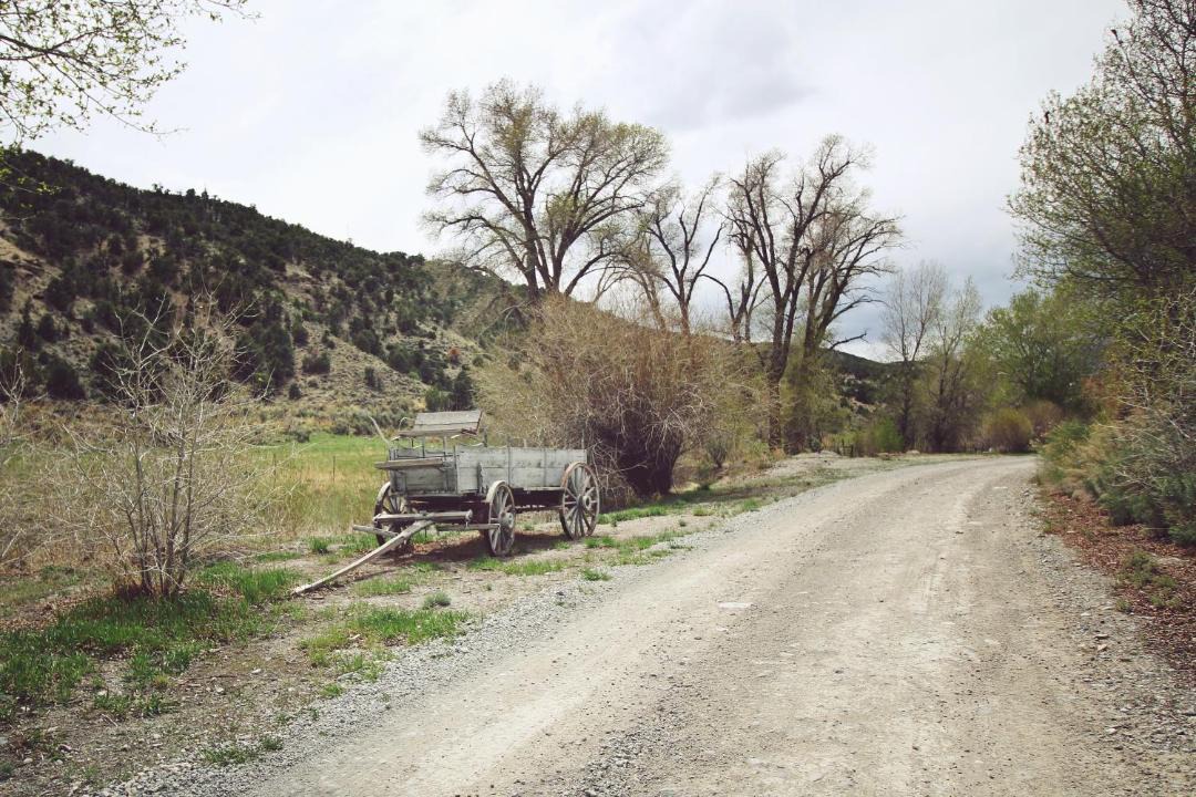 Photo of Others in Baker