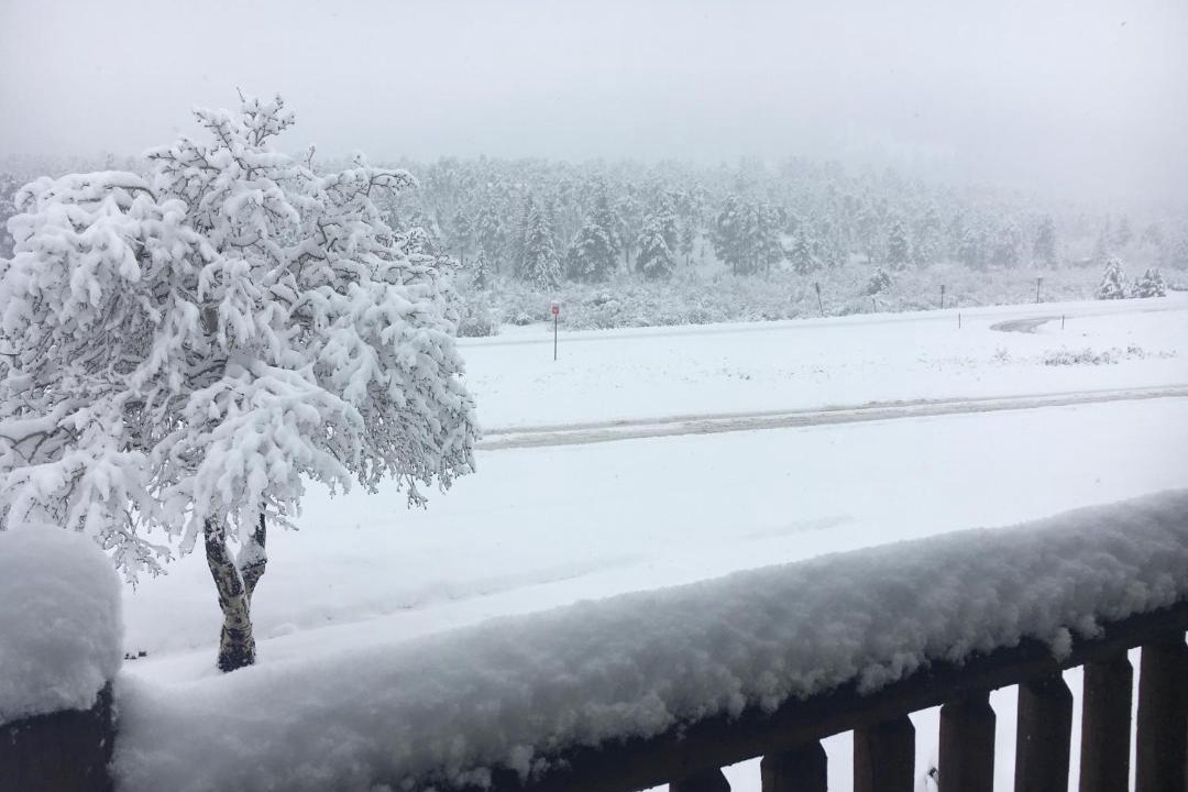 Photo of Others in Estes Park