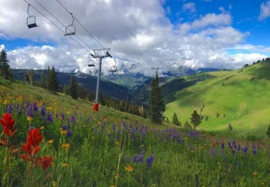Photo of Others in Vail