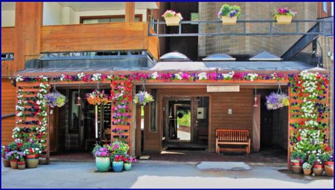Photo of Others in Vail