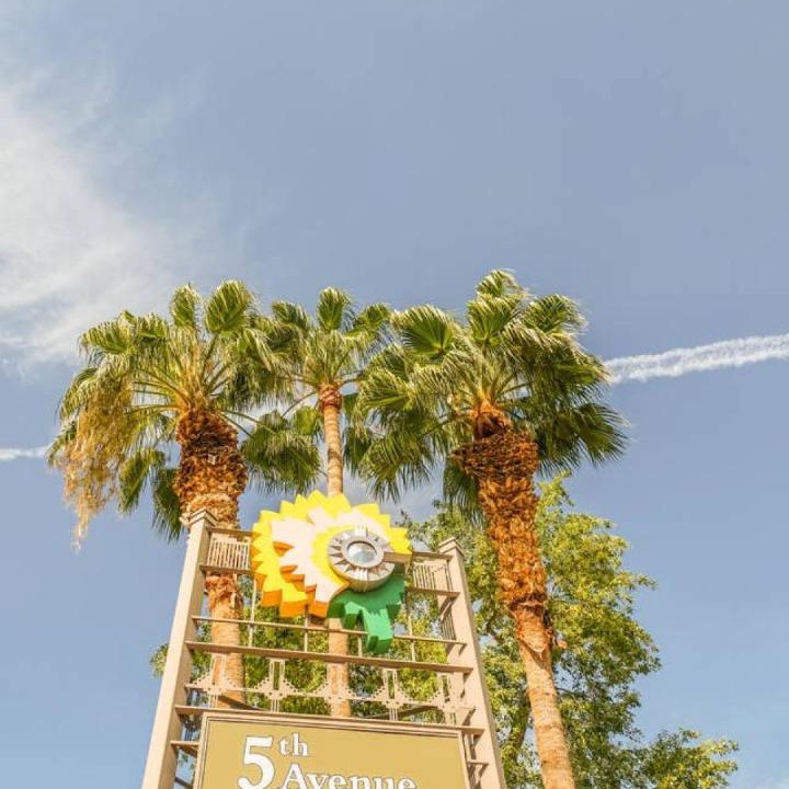 Photo of Others in Scottsdale Osborn Plaza