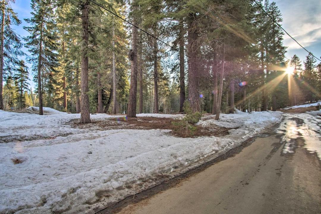 Photo of Others in Ponderosa