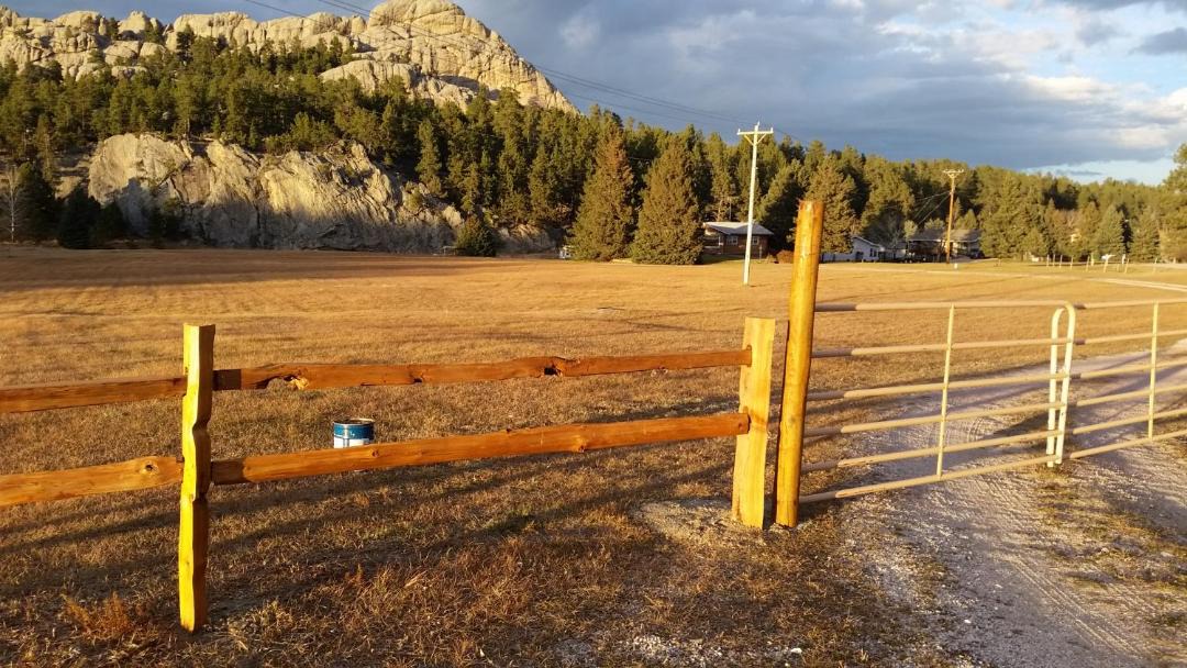 Photo of Others in Custer