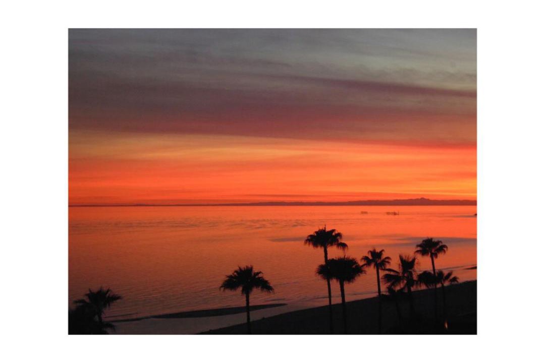 Photo of Others in Puerto Penasco