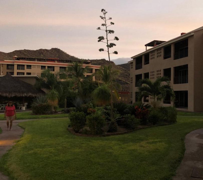 Photo of Buildings in Nopolo