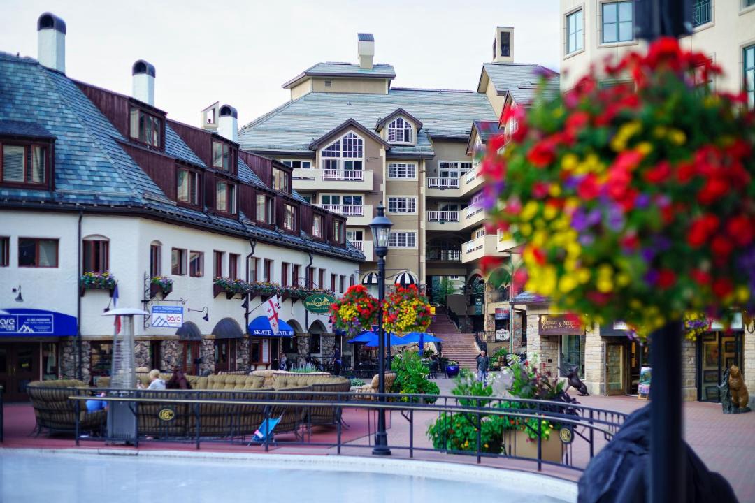 Photo of Others in Beaver Creek