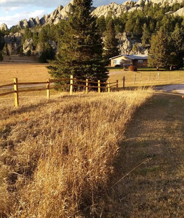 Photo of Others in Custer