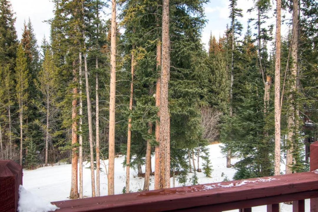 Photo of Others in Peak 8