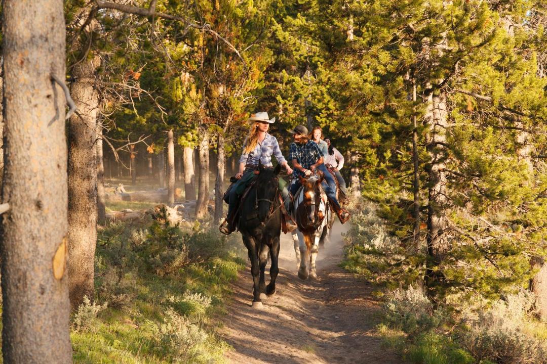 Photo of Others in Flagg Ranch