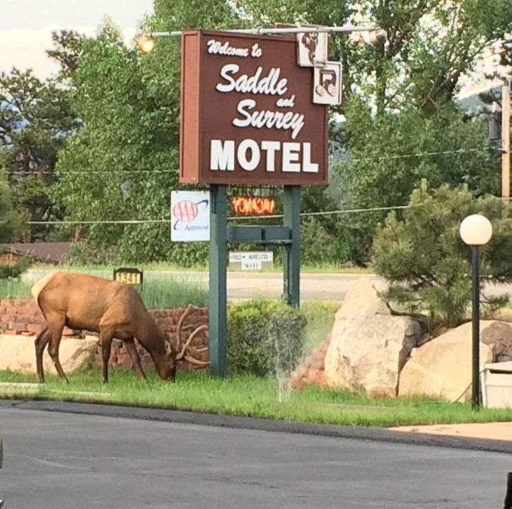 Photo of Others in Estes Park