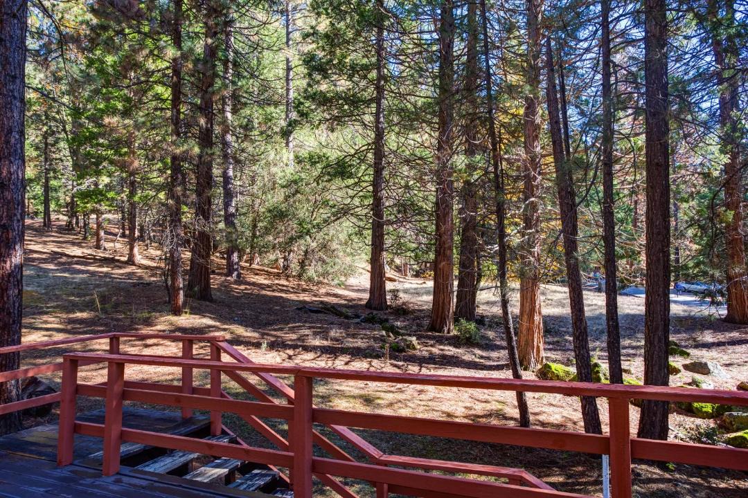Photo of Others in North Wawona