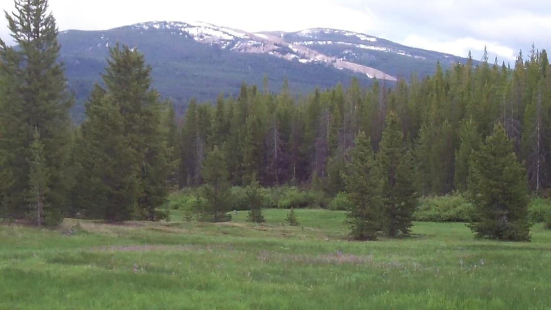 Photo of Outdoor in Anaconda