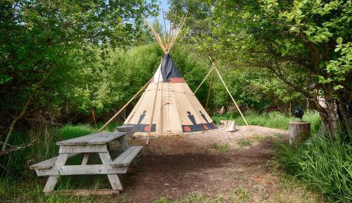 Tent
