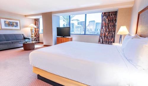 1 King Suite