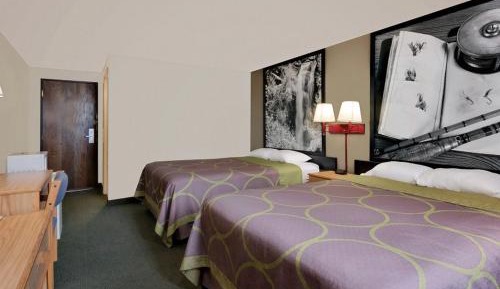 Two Queen Pet Friendly Room