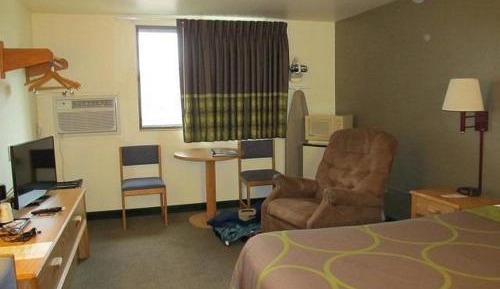 Queen Pet-Friendly Room 