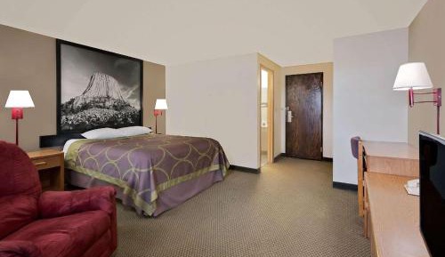 King Pet-Friendly Room