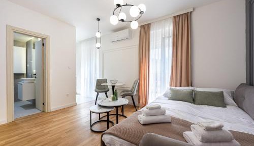 Studio with Sofa Bed