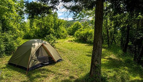 Tent