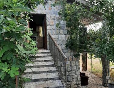 Mixed Dormitory Room