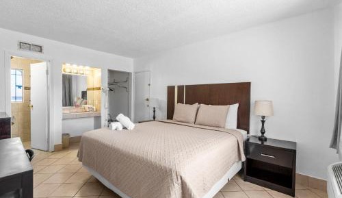 Single Room - Disability Access