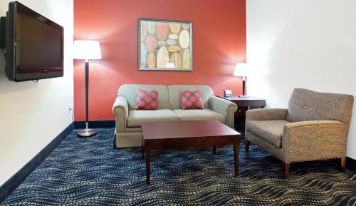 One-Bedroom King Suite