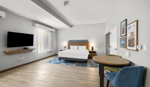 King Studio Suite with Sofa Bed - Hearing Access/Non-Smoking